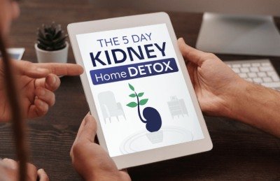 FlowForce Max bonus kidney detox guide